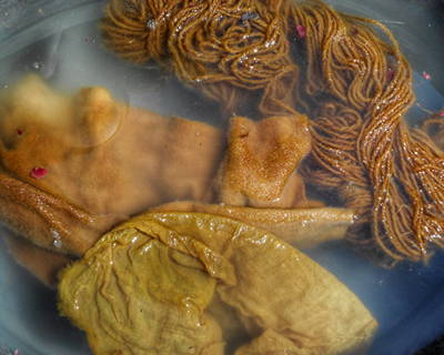 Färbung mit roten Zwiebelschalen