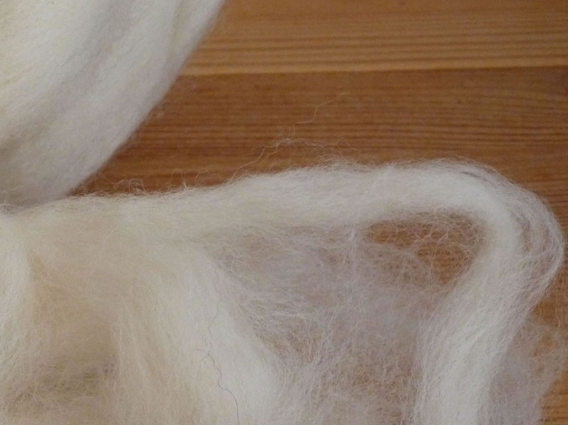 Weiße Schafwolle (Detailaufnahme)