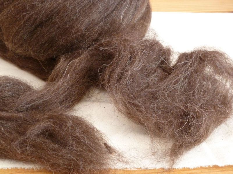 Braune Schafwolle